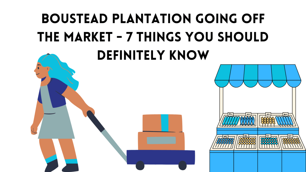 Boustead Plantation is Being Privatised – Here Are 7 Things to&nbsp;Know