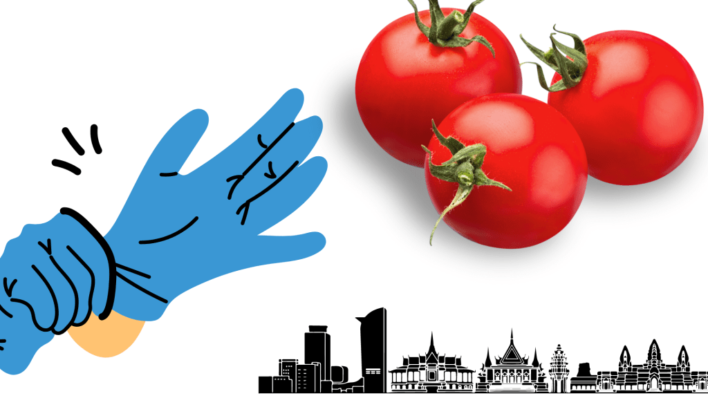 27% Profit from Kossan, All You Need To Know About Tomatoes, and&nbsp;Cambodia